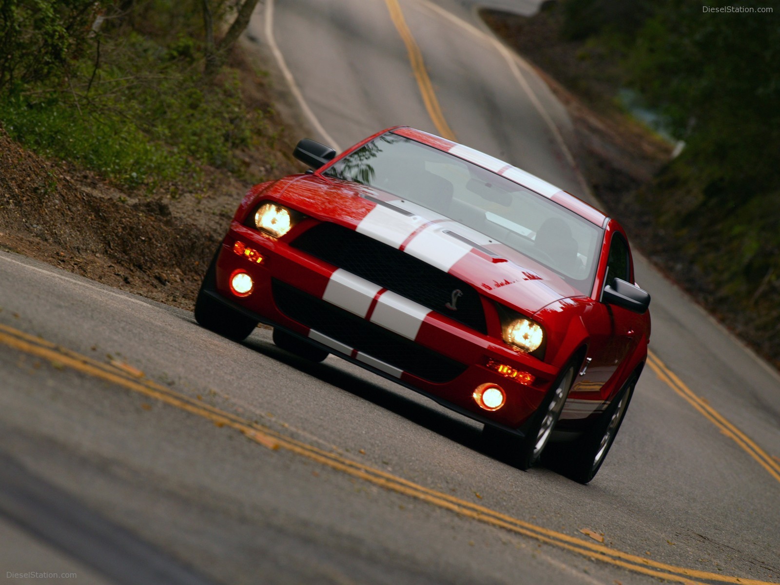 Ford Shelby Cobra GT500